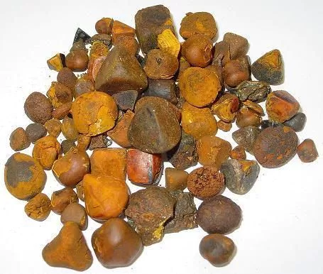 A representative lot of whole and broken dried ox gallstones on a white surface